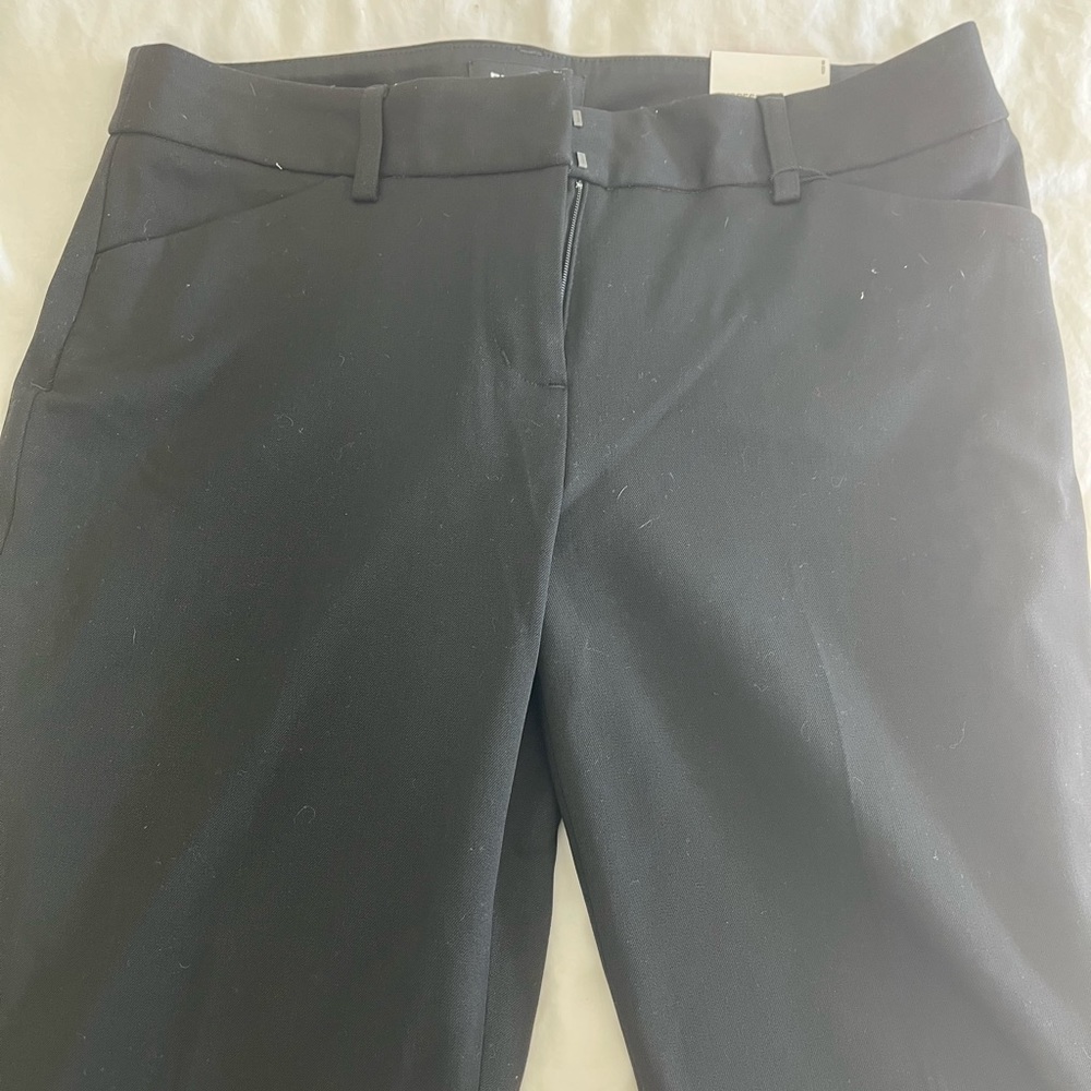 Express Dress Pants